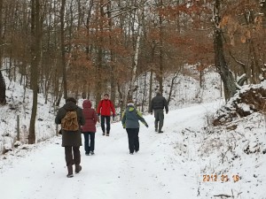 img_4595.jpg