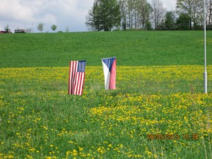 img_1229.jpg